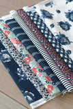 Summertime 40 Jelly Roll Strips 2.5" by Camille Roskelley for Moda