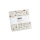 Blizzard 5" Square Charm Pack Bundle by Sweetwater for Moda