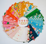 Flowerland 5" Charm Pack Precut Bundle by Melody Miller for Ruby Star Society by Moda