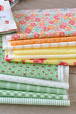Summertime 40 Jelly Roll Strips 2.5" by Camille Roskelley for Moda