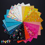 Pivot 22 Fat Quarter Bundle by Rashida Coleman Hale for Ruby Star Society by Moda