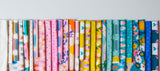 Best Day Ever 5" Charm Pack Pre-Cut Bundle by Melody Miller for Ruby Star Society by Moda