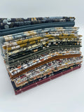 Get Out and Explore 10" x 10" Pack (Layer Cake) Pre-Cut by Mint Tulips for Cotton + Steel