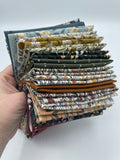 Get Out and Explore 10" x 10" Pack (Layer Cake) Pre-Cut by Mint Tulips for Cotton + Steel