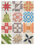 Sampler Spree 100+ Fresh and Fun Quilt Blocks by Susan Ache