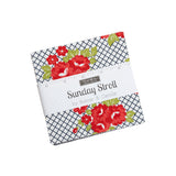 Sunday Stroll 42 Charm Pack Squares 5" x 5" by Bonnie and Camille for Moda Active