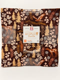Adventure North 10" Layer Cake Precut Bundle by Jaclyn Ruble for Cotton + Steel
