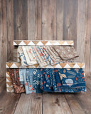 Nature's Sketchbook 42 Layer Cake Squares 10" x 10" by Elena Amo for Moda