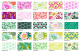 Daisy Crush 25 Fat Quarter Bundle by Heather Bailey by Northcott