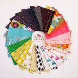 Catnap 5" Square Charm Pack Bundle by Alexa Marcelle Abegg for Ruby Star Society by Moda