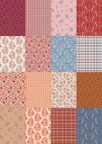 Fairview Avenue 16 Fat Quarter Bundle by Bari J. for Art Gallery Fabrics