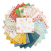 Serendipity 2 (Two) 25 Fat Quarter Bundle by Minki Kim for Riley Blake Designs