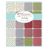 Blizzard 5" Square Charm Pack Bundle by Sweetwater for Moda