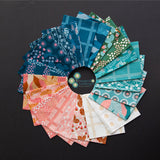 Reimagined Lanscapes 40 Jelly Roll Strips 2.5" by Jen Hewett for Ruby Star Society by Moda