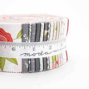 Beautiful Day 40 Jelly Roll Strips 2.5" by Corey Yoder for Moda