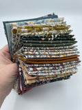 Get Out and Explore 16 Fat Quarter Bundle by Mint Tulips for Cotton + Steel