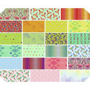 Daydreamer 22 Fat Quarter Bundle by Tula Pink for Free Spirit Fabrics
