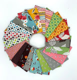 Flea Market Fancy 21 Fat Quarter Bundle by Denyse Schmidt for Free Spirit Fabrics