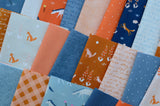 Meander 40 Jelly Roll Strips 2.5" by Aneela Hoey for Moda