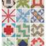 Sampler Spree 100+ Fresh and Fun Quilt Blocks by Susan Ache